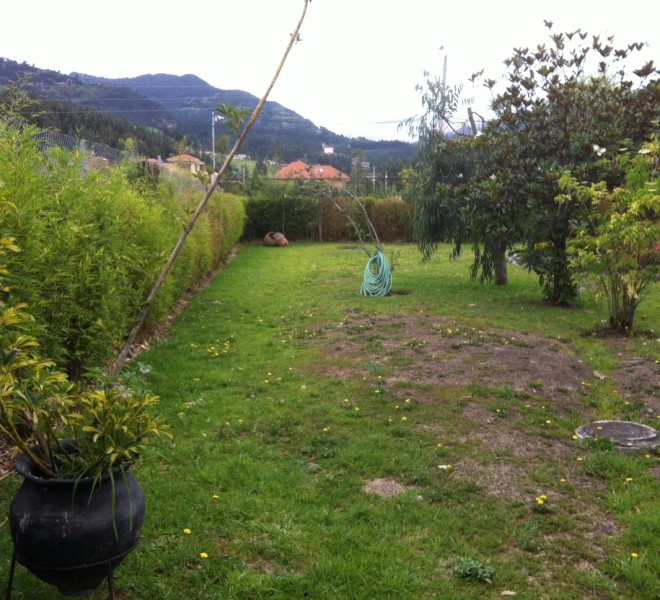 image-25