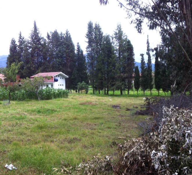 image-26