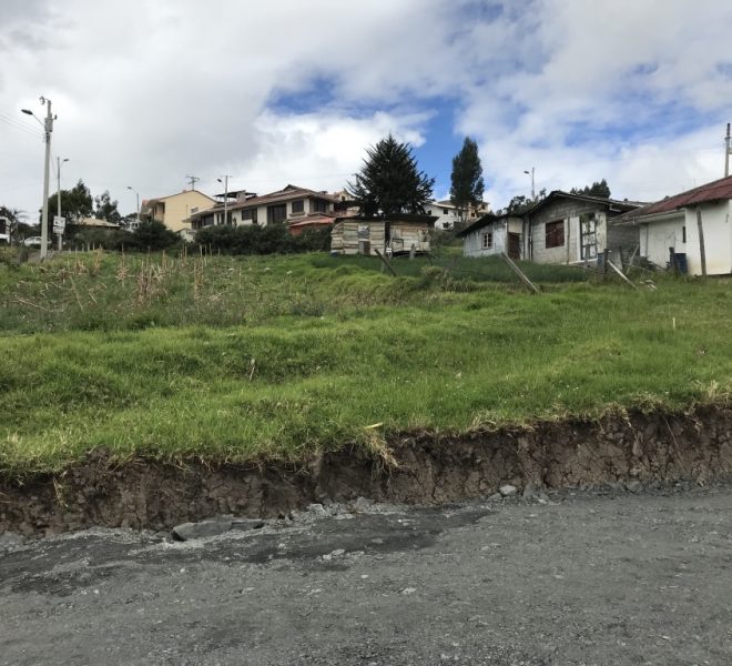 12Terreno El Valle centro
