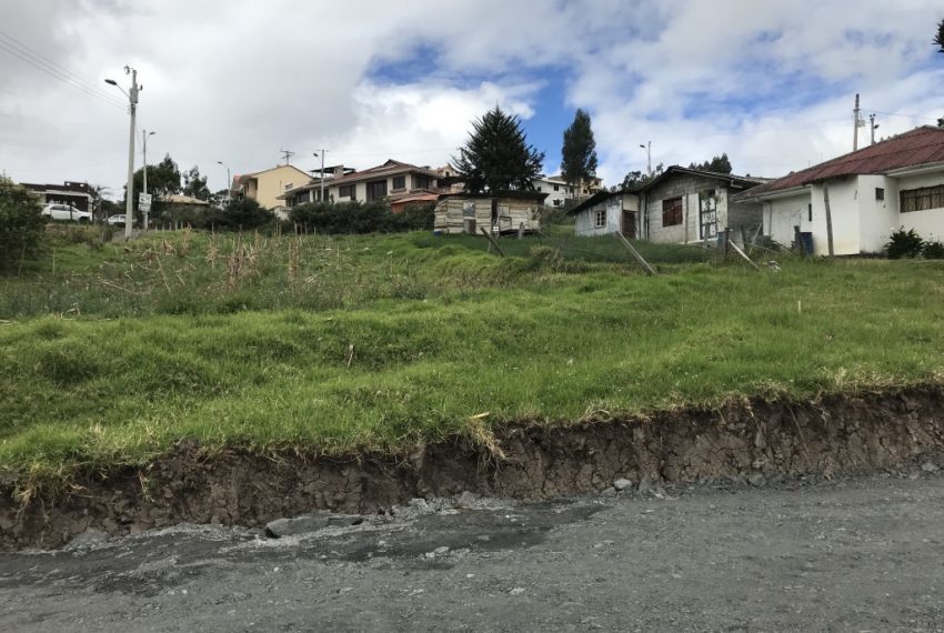 12Terreno El Valle centro