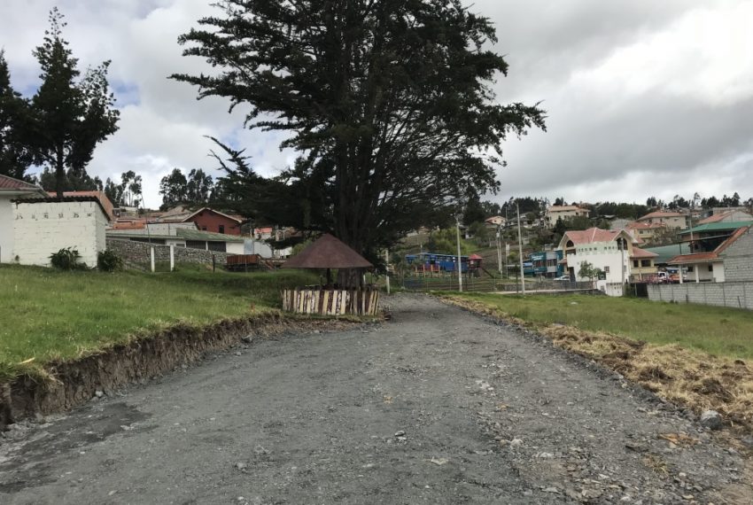 15Terreno El Valle centro