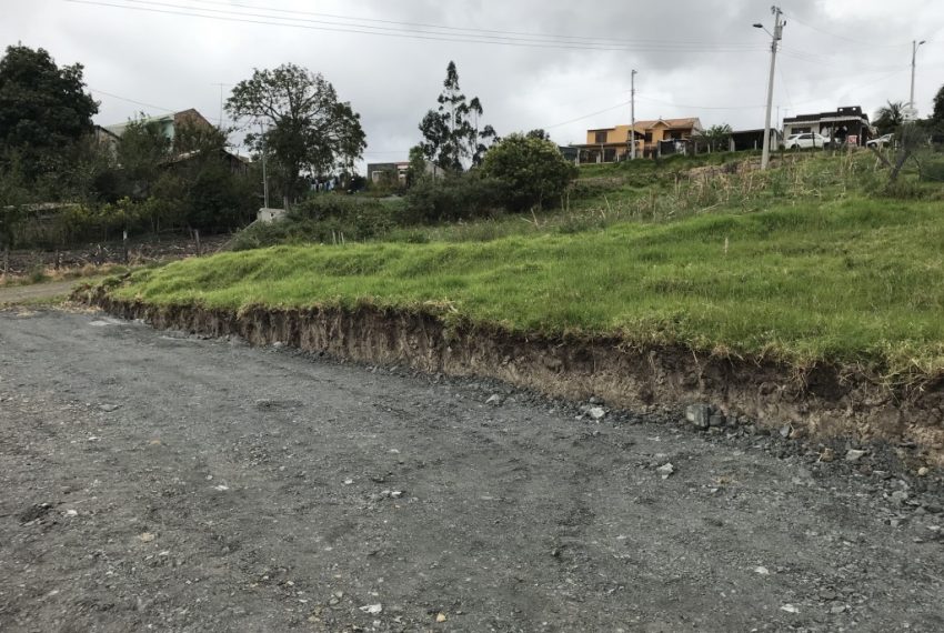 9Terreno El Valle centro