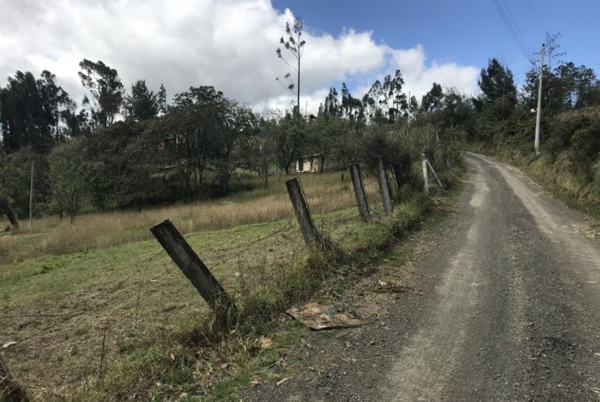 11Terreno San Cristobal