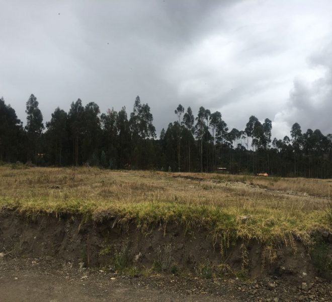 5Terreno El Gaubo Ricaurte