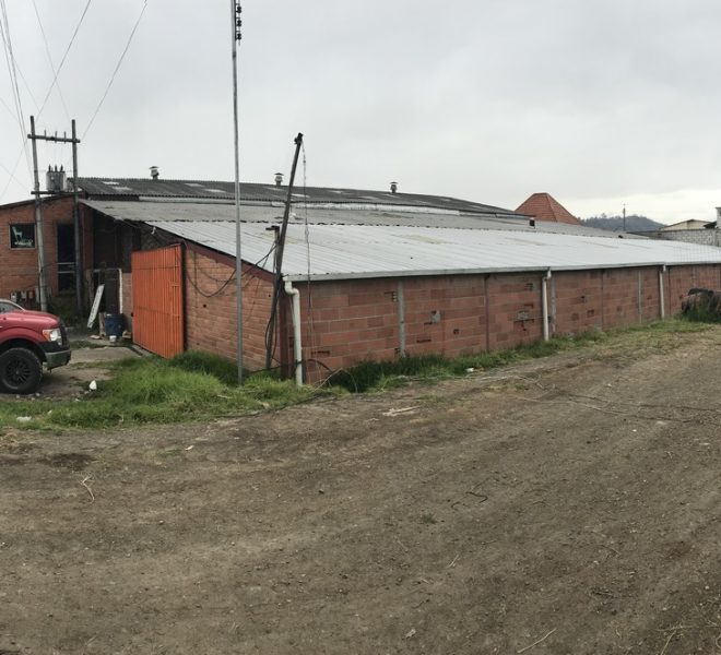 1Nave renta Arq. Flores