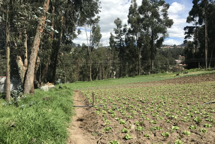 11San Joaquin terrenos