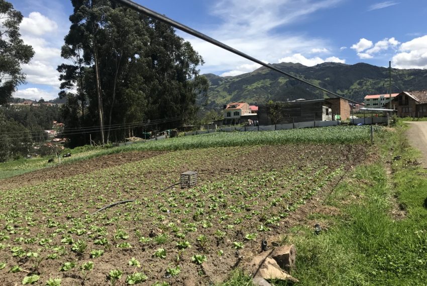 13San Joaquin terrenos