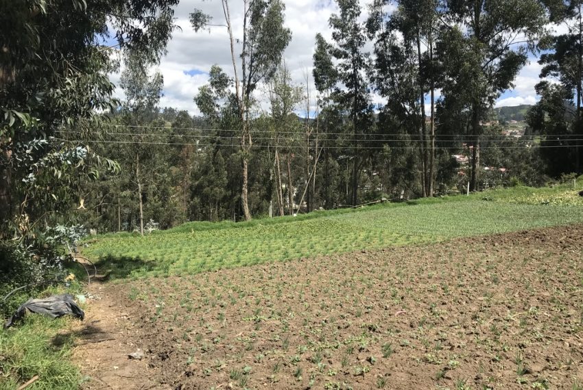 14San Joaquin terrenos