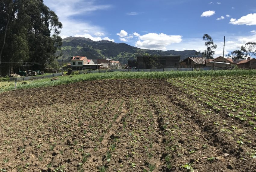 16San Joaquin terrenos