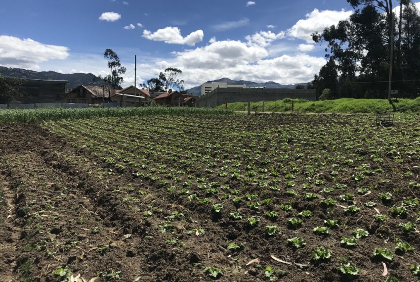 17San Joaquin terrenos