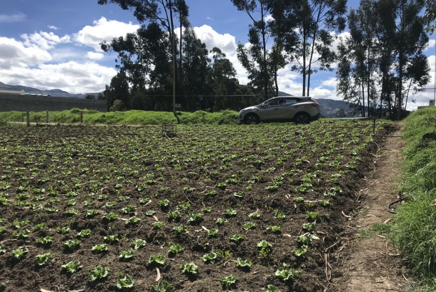 18San Joaquin terrenos