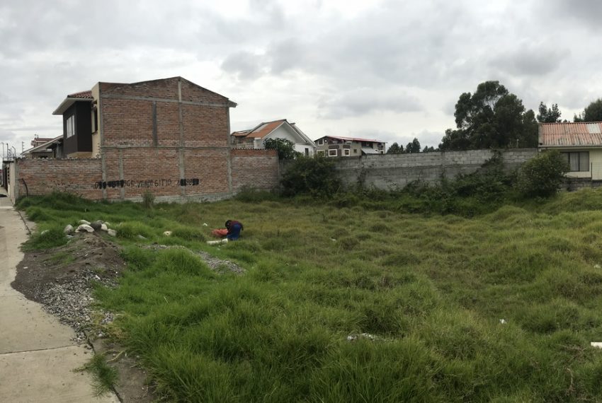 1Lotes de Terreno arq. EO