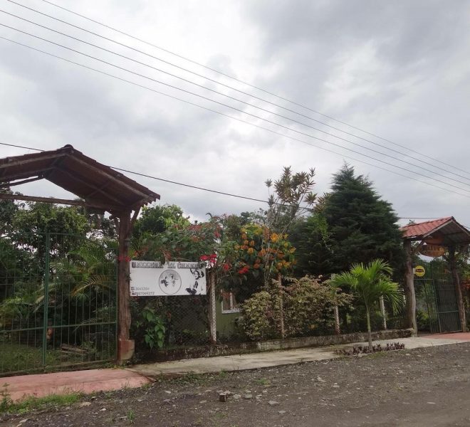 3Terreno Macas