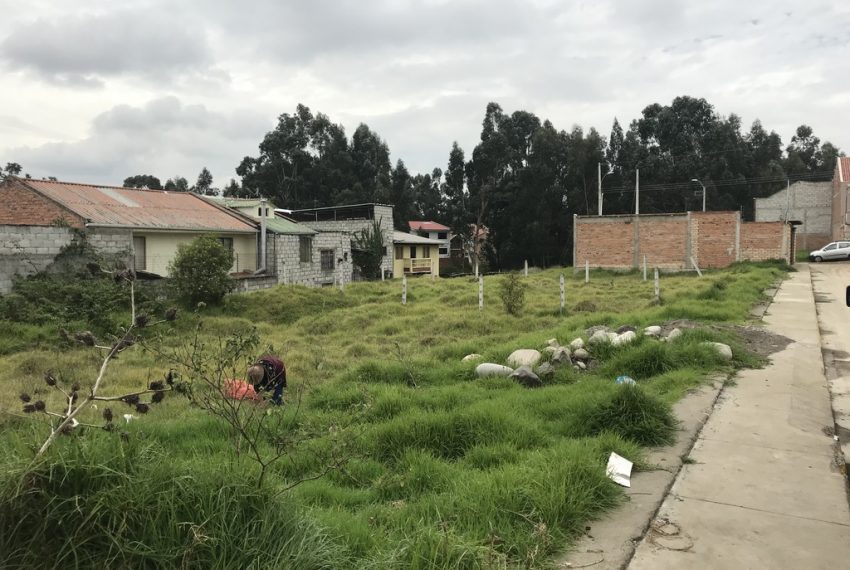 4Lotes de Terreno arq. EO