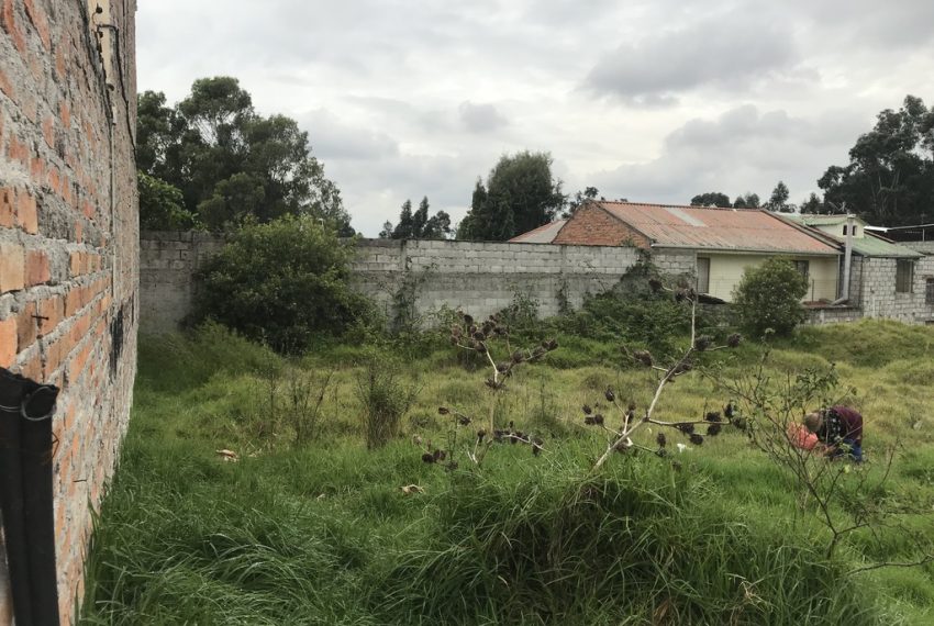 5Lotes de Terreno arq. EO