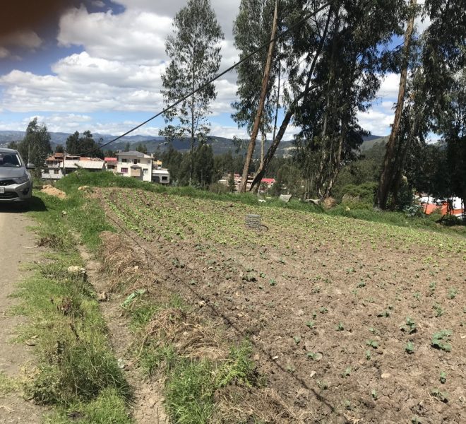 5San Joaquin terrenos