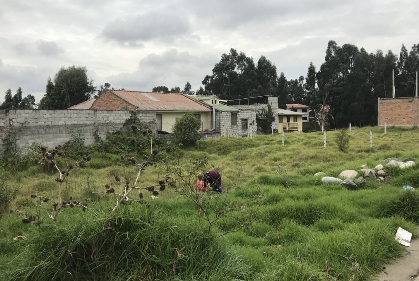 6Lotes de Terreno arq. EO