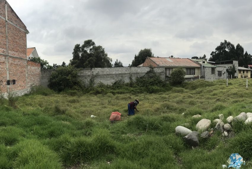 7Lotes de Terreno arq. EO