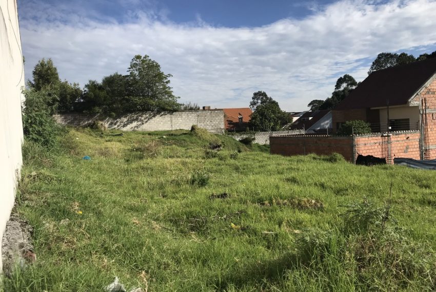 8Terrenos URB.LA AURORA
