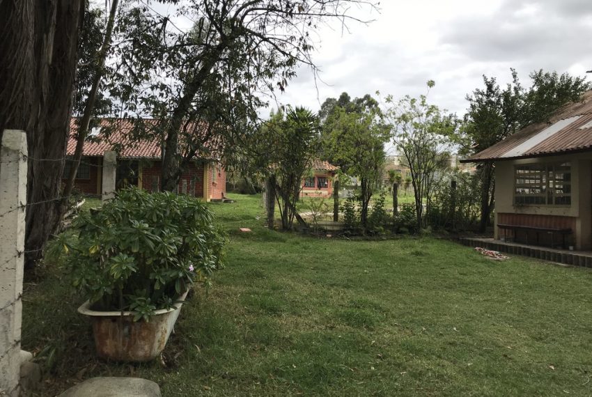 11Quinta Monay