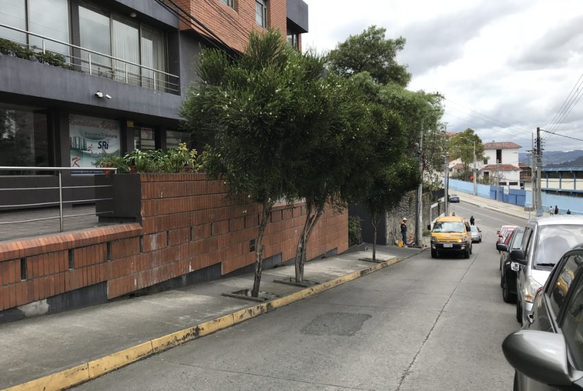 12Local Comercial Zona Rosa