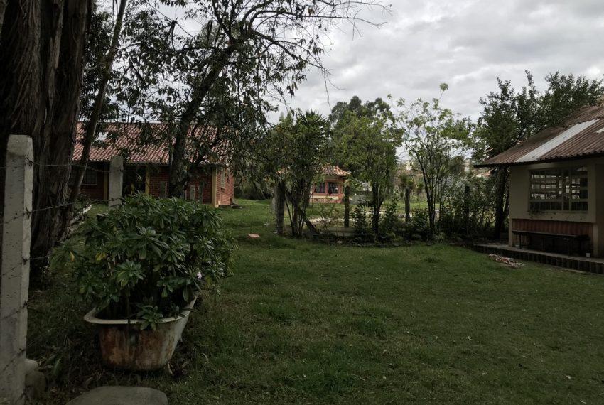 12Quinta Monay