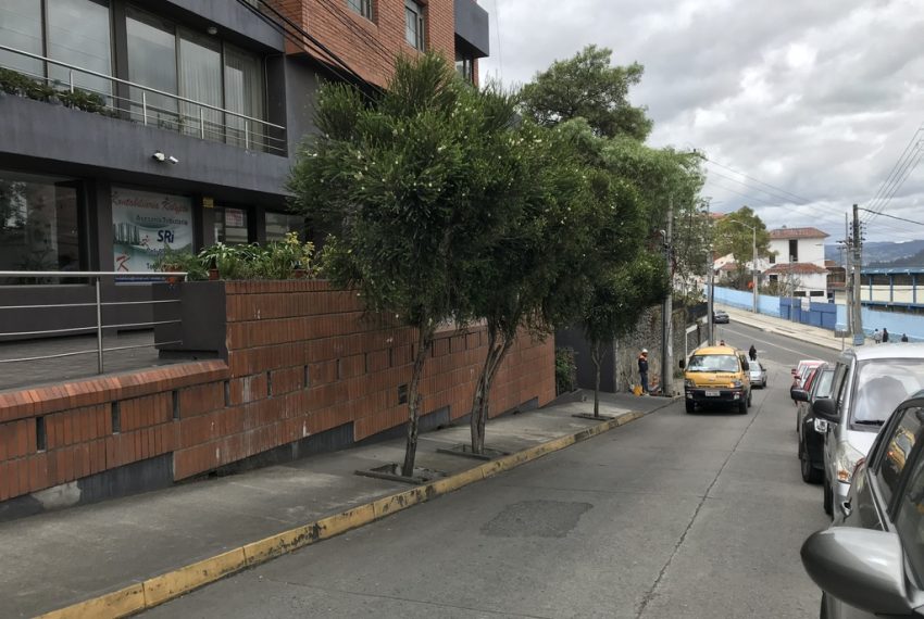 13Local Comercial Zona Rosa