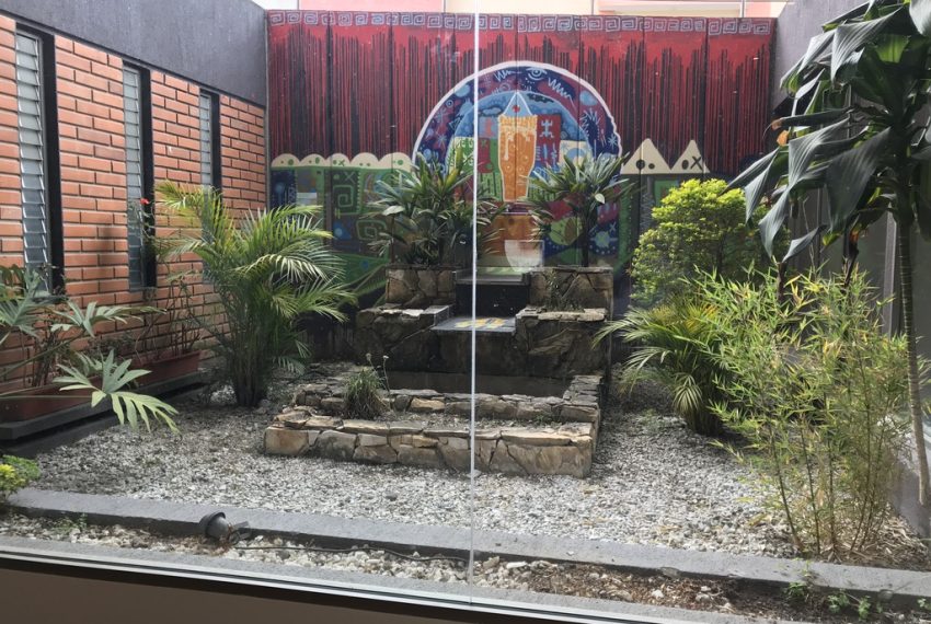 21Local Comercial Zona Rosa