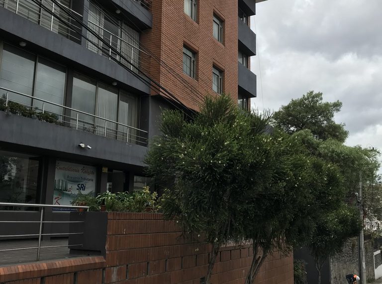 29Local Comercial Zona Rosa