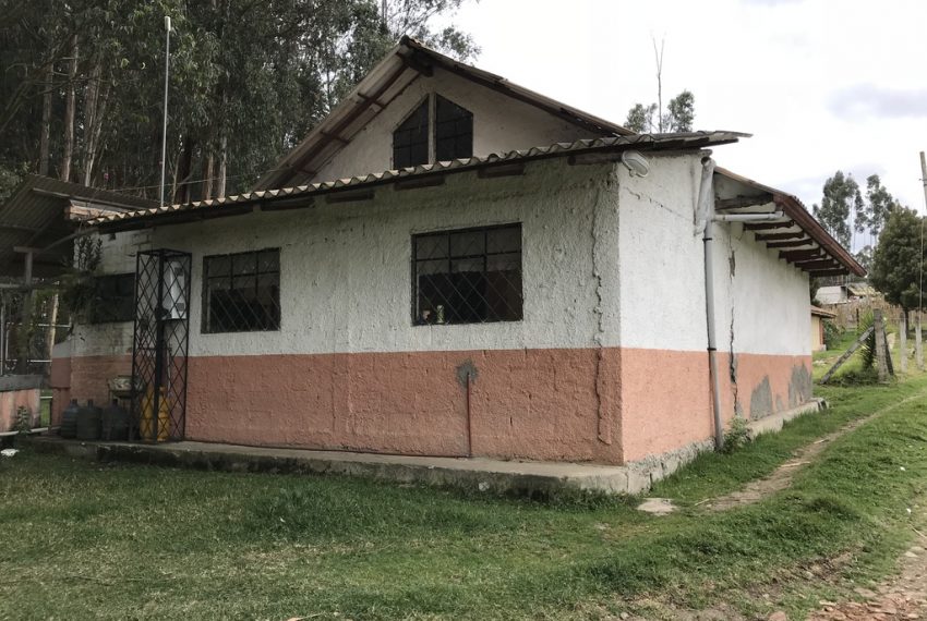 3Quinta Monay