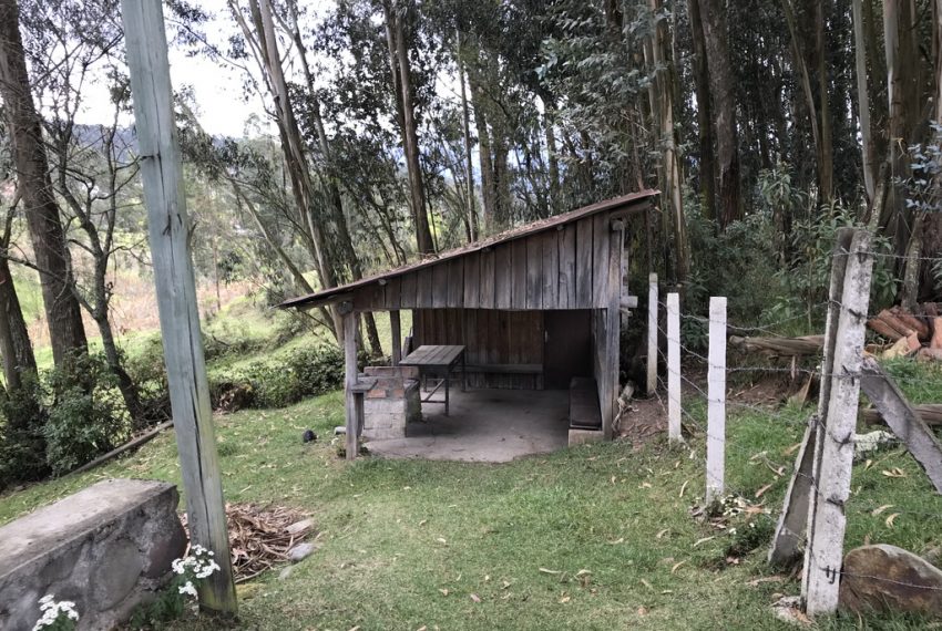 7Quinta Monay
