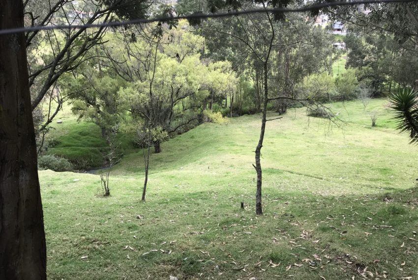 9Quinta Monay